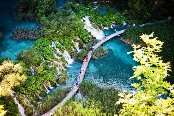 Vườn Quốc Gia Bạch Mã - Cung đường du lịch xanh ở xứ Huế