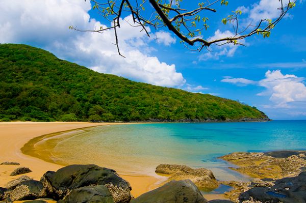 Bãi Đầm Trầu - "Ốc đảo xanh" giữa biển trời Côn Đảo
