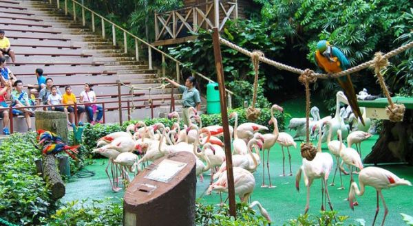 Vườn chim Jurong