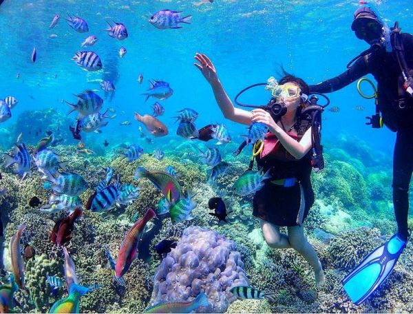 Lặn ngắm san hô ở Hòn Mun Nha Trang