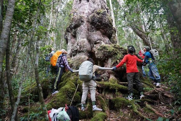 Lập team "phá đảo" vườn quốc gia Chư Yang Sin huyền thoại
