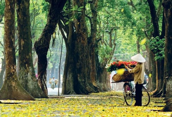 Đặt lịch bay Sài Gòn Hà Nội - Khám phá vẻ đẹp cổ kính của Thủ đô