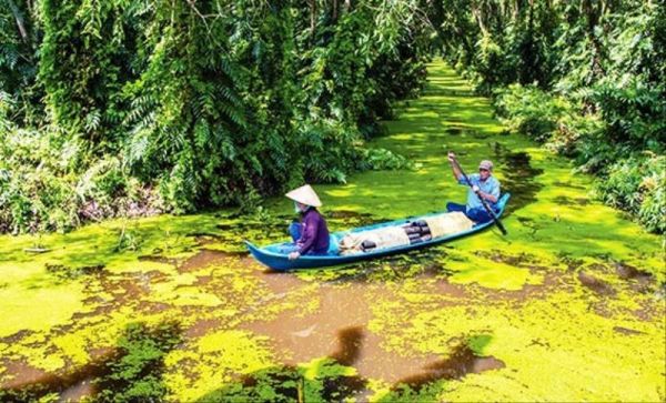 Khu du lịch sinh thái Sông Trẹm - Điểm đến khám phá thiên nhiên tuyệt đẹp ở Cà Mau