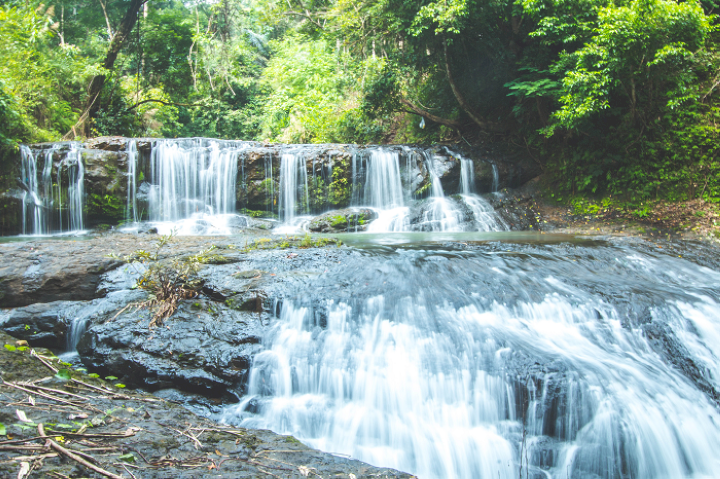 Vườn quốc gia Bù Gia Mập được gọi là “chốn thần tiên” của Việt Nam